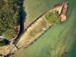 Drone top shot of a ship wreck with a tree growing on it surrounded by greenish water.